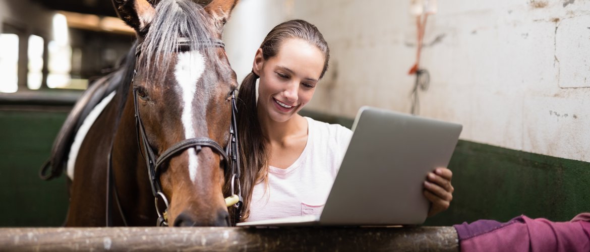 Online Class to become a Horse Temperament Typing Consultant