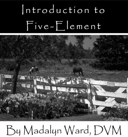 Horse Types and Temperaments: The Five Types eBook