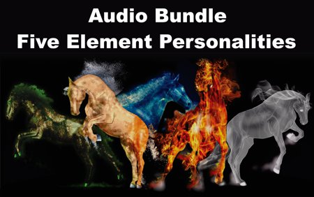 Audio Bundle: Five Element Personalities MP3 File
